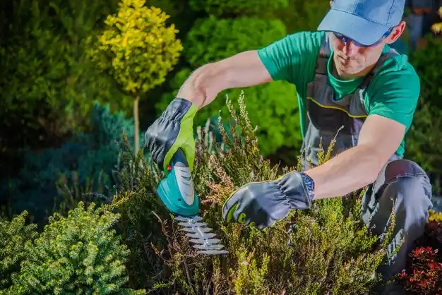 landscaping services Poplar Bluff